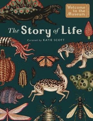 Story of Life: Evolution (Extended Edition) av Ruth Symons
