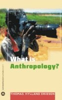 Thomas Hylland Eriksen - What is Anthropology?, E-bok
