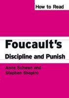 Stephen Shapiro, Anne Schwan - How to Read Foucault's Discipline and Punish, E-bok