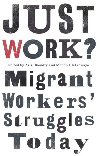 Mondli Hlatshwayo, Aziz Choudry - Just Work?, E-bok