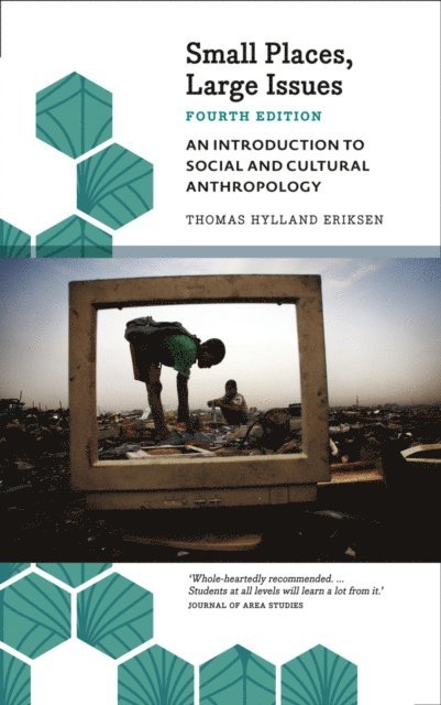 Thomas Hylland Eriksen - Small Places, Large Issues, E-bok