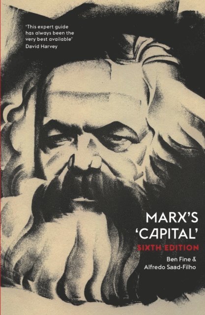Alfredo Saad-Filho, Ben Fine - Marx's 'Capital', E-bok