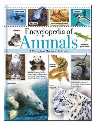 Encyclopedia of Animals, Inbunden. Tillgänglighet: Lägg i varukorg