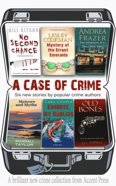 Marsali Taylor - Case of Crime, E-bok