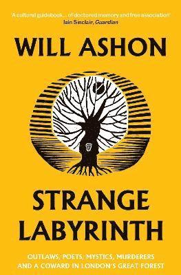 Will Ashon - Strange Labyrinth, Häftad