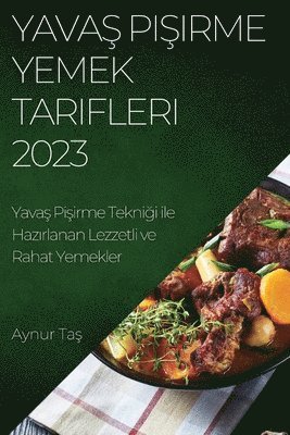 Aynur Taş - Yavaş Pişirme Yemek Tarifleri 2023, Häftad. Tillgänglighet: Lägg i varukorg
