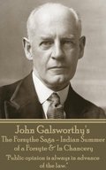 John Galsworthy's The Forsyte Sage - Indian Summer of a Forsyte & In Chancery: "Public opinion is always in advance of the law."