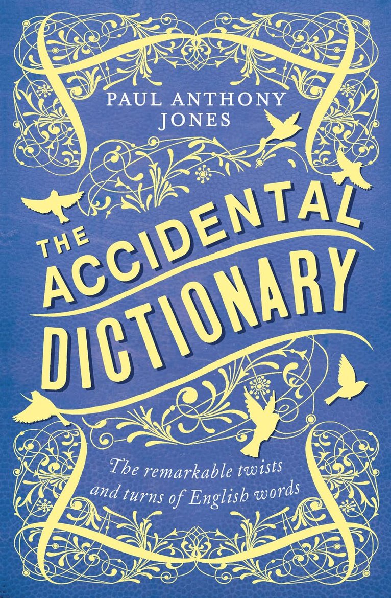 Paul Anthony Jones - Accidental Dictionary, Häftad