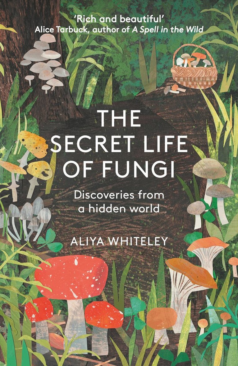 Aliyah Whiteley - Secret Life of Fungi, Häftad