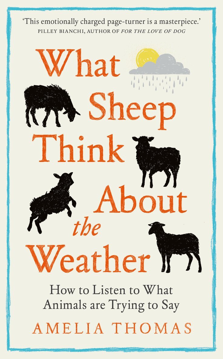 Amelia Thomas - How to Listen to Animals, Häftad