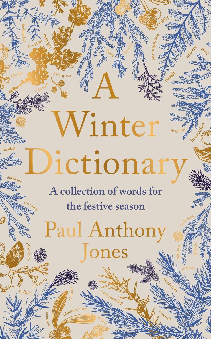 Paul Anthony Jones - Winter Dictionary, Häftad
