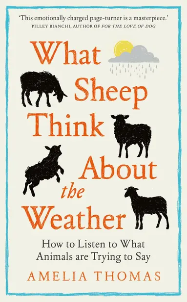 What Sheep Think About the Weather
