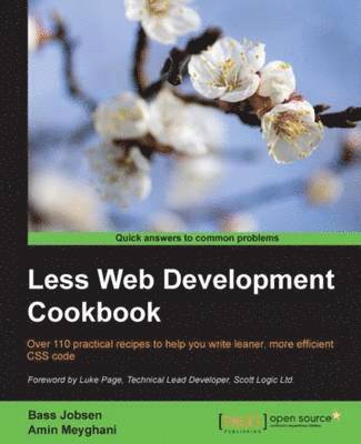 Bass Jobsen - Less Web Development Cookbook, Häftad