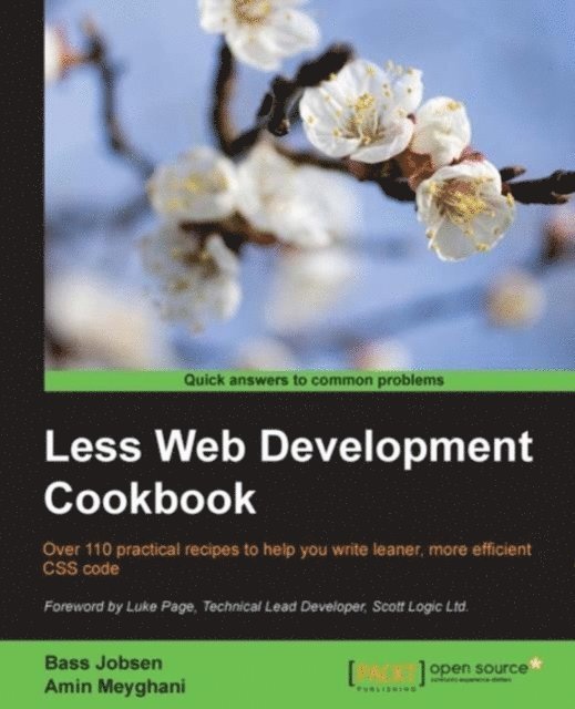 Amin Meyghani, Bass Jobsen - LESS WEB DEVELOPMENT COOKBOOK, E-bok