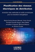 Planification des réseaux électriques de distribution