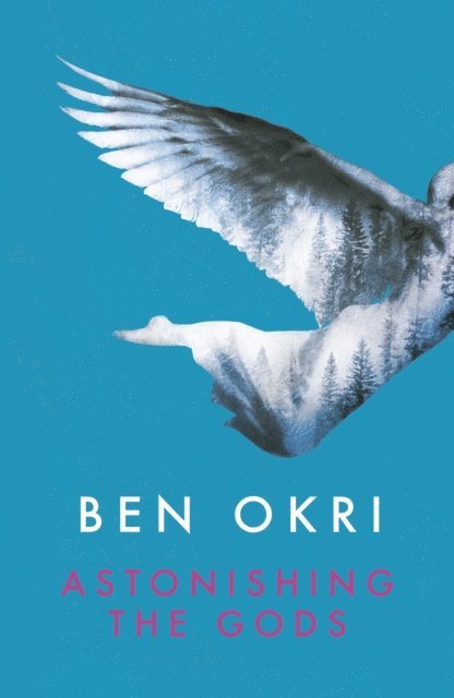 Ben Okri - Astonishing the Gods, E-bok