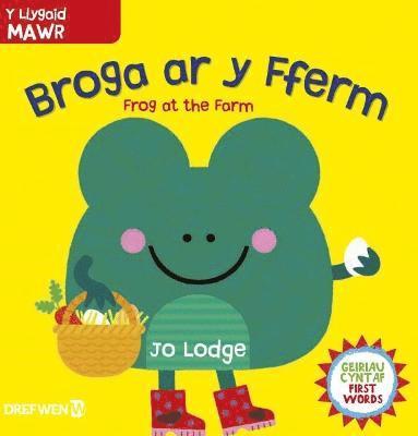 Jo Lodge - Broga ar y Fferm / Frog at the Farm, Inbunden