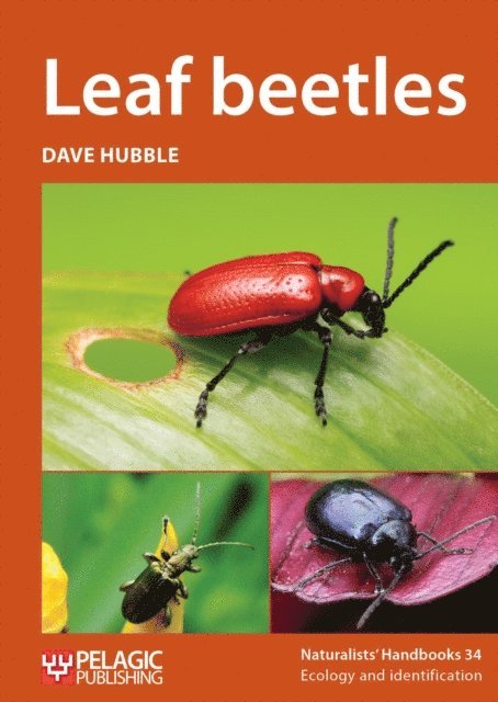 Dave Hubble - Leaf beetles, E-bok