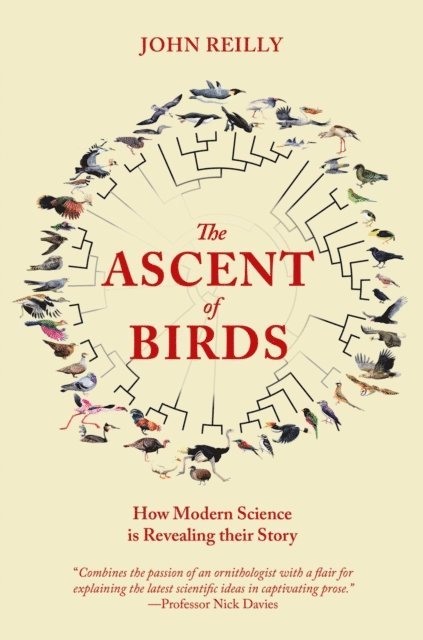 John Reilly - Ascent of Birds, E-bok