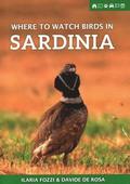 Where to Watch Birds in Sardinia
