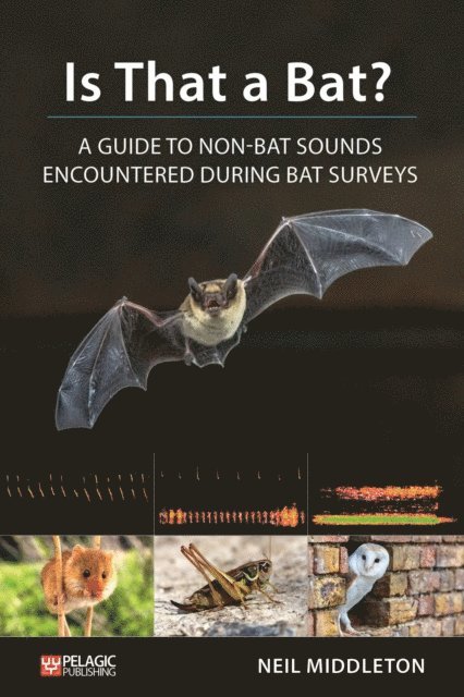 Neil Middleton - Is That a Bat?, E-bok