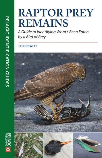 Ed Drewitt - Raptor Prey Remains, E-bok