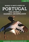 Where to Watch Birds in Portugal, the Azores &; Madeira Archipelagos