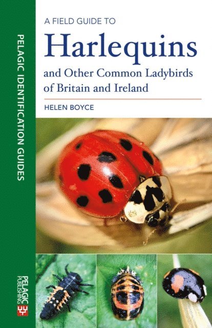 Helen Boyce - Field Guide to Harlequins and Other Common Ladybirds of Britain and Ireland, E-bok