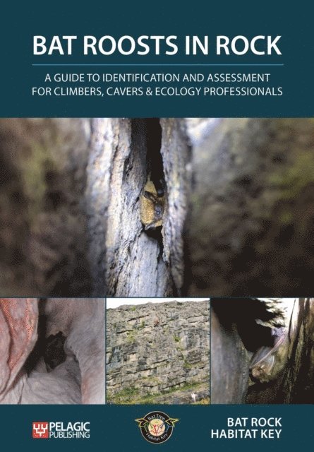 Bat Rock Habitat Key - Bat Roosts in Rock, E-bok