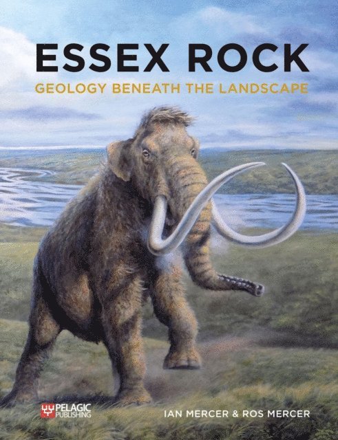 Ros Mercer, Ian Mercer - Essex Rock, E-bok