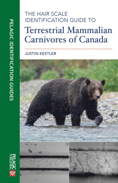 Justin Kestler - Hair Scale Identification Guide to Terrestrial Mammalian Carnivores of Canada, E-bok