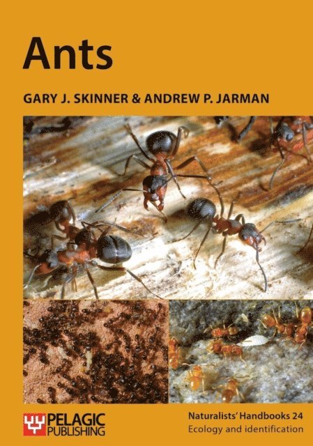 Andrew P. Jarman, Gary J. Skinner - Ants, E-bok