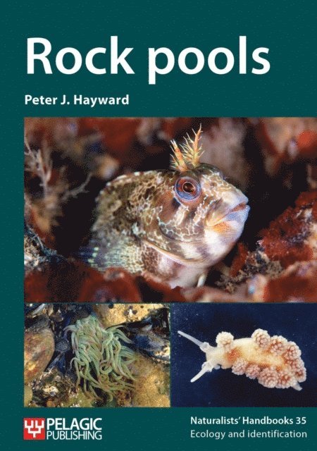 Peter J. Hayward - Rock pools, E-bok