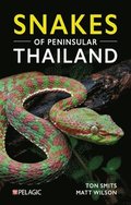 Snakes of Peninsular Thailand