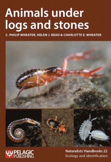 Charlotte E. Wheater, Helen J. Read, C. Philip Wheater - Animals under logs and stones, E-bok