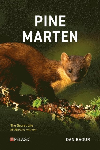 Dan Bagur - Pine Marten, E-bok