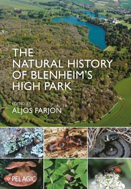 Aljos Farjon - Natural History of Blenheim's High Park, E-bok