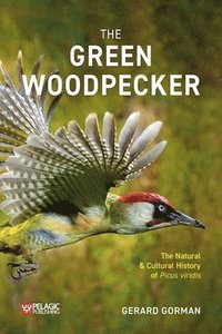 Green Woodpecker