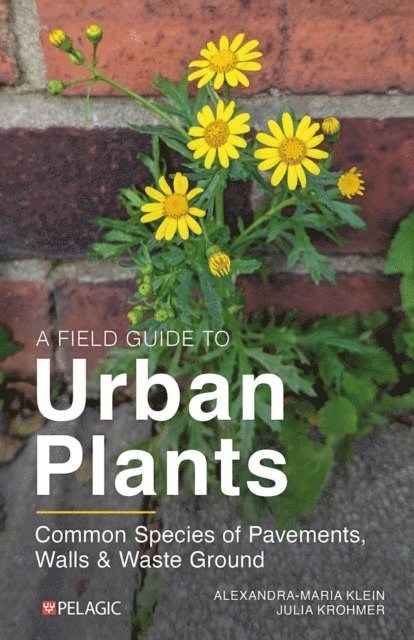 Julia Krohmer, Alexandra-Maria Klein - Field Guide to Urban Plants, E-bok. Tillgänglighet: Lägg i varukorg