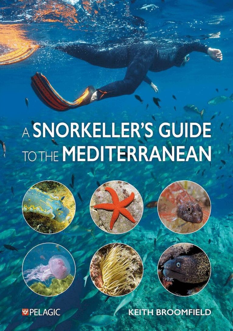 Keith Broomfield - Snorkeller’s Guide to the Mediterranean, Häftad
