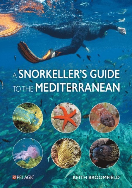 Keith Broomfield - Snorkeller's Guide to the Mediterranean, E-bok