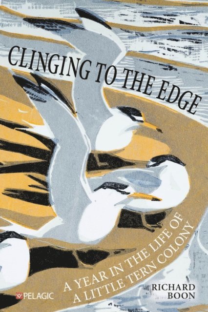 Richard Boon - Clinging to the Edge, E-bok