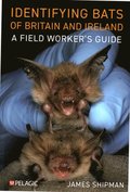 Identifying Bats of Britain and Ireland