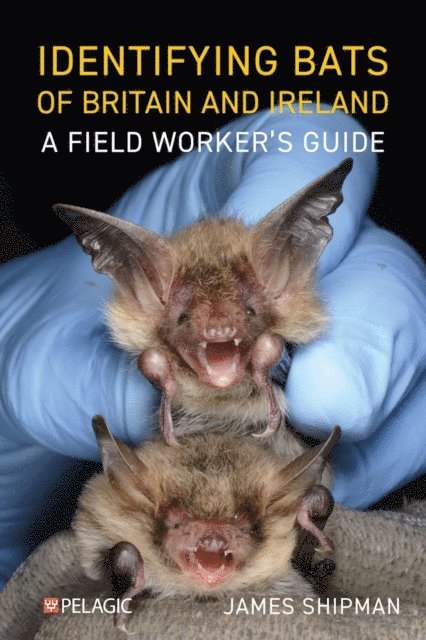 James Shipman - Identifying Bats of Britain and Ireland, E-bok