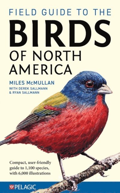 Miles McMullan - Field Guide to the Birds of North America, E-bok
