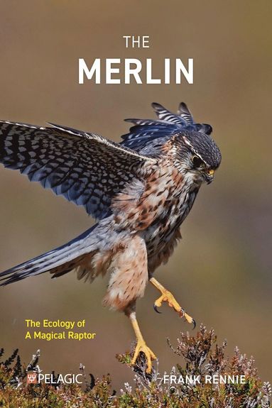 Merlin av Frank Rennie