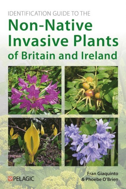 Phoebe O'Brien, Fran Giaquinto - Identification Guide to the Non-Native Invasive Plants of Britain and Ireland, E-bok