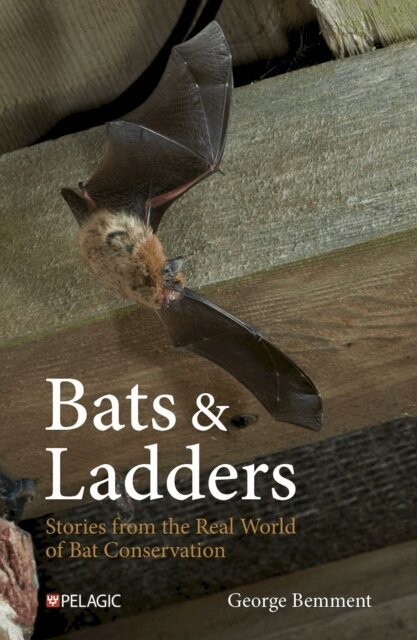 George Bemment - Bats & Ladders, E-bok