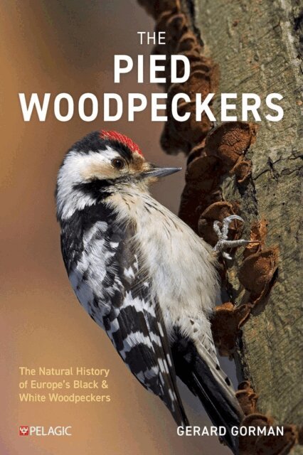 Gerard Gorman - Pied Woodpeckers, E-bok
