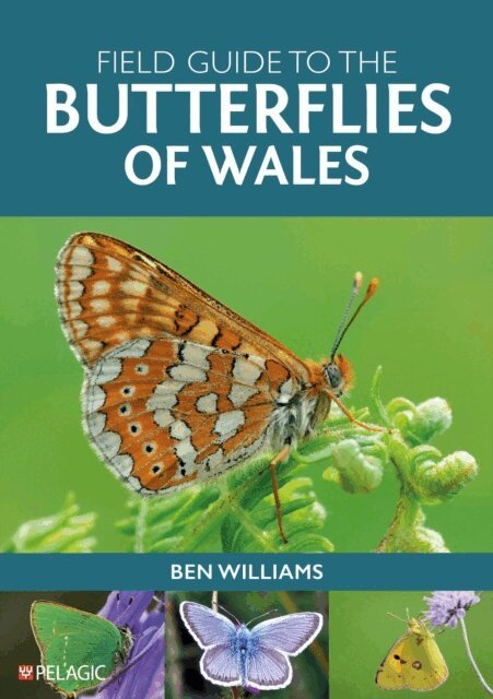 Ben Williams - Field Guide to the Butterflies of Wales, E-bok